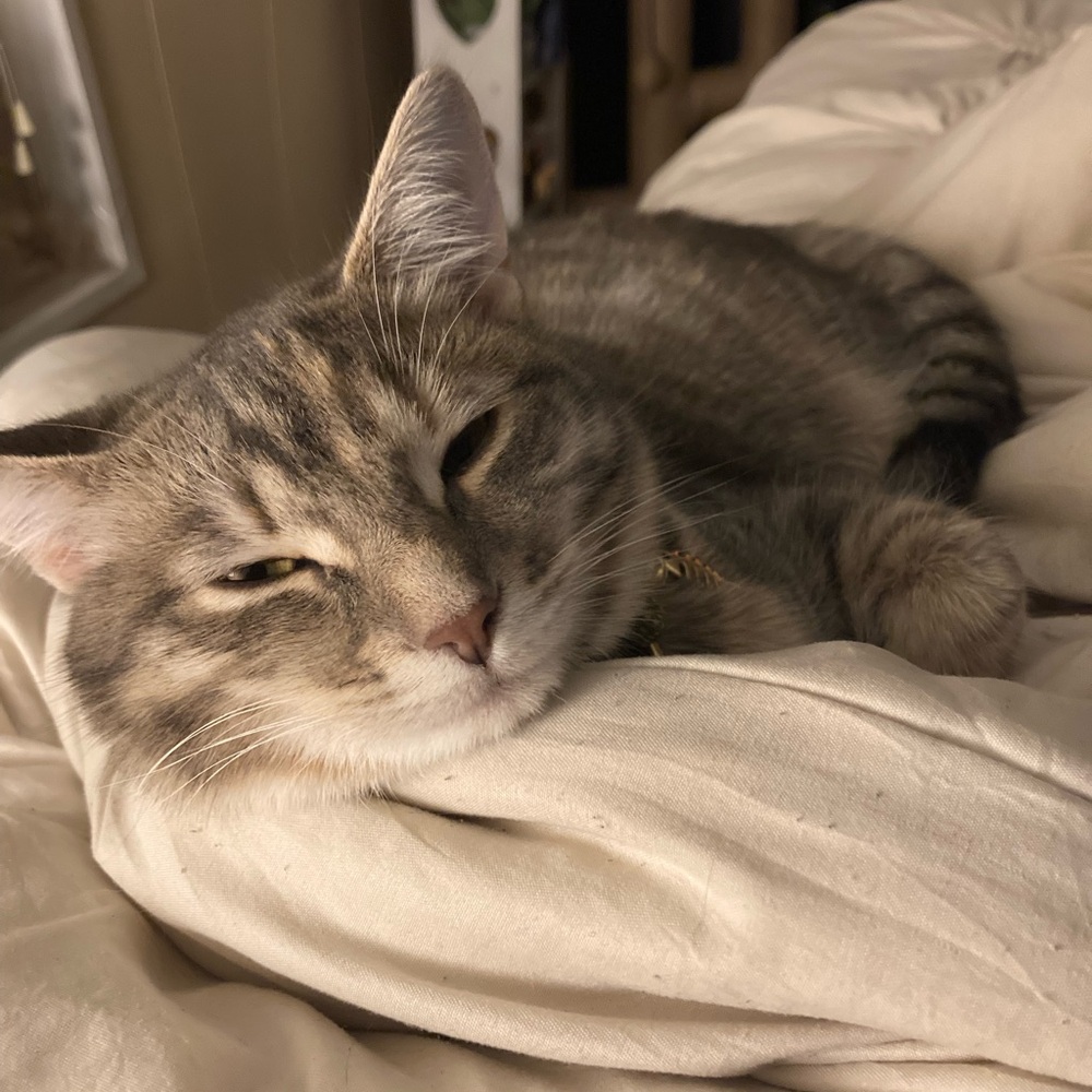 🌹 Welcome! 🗝 - Picture 6 of 6